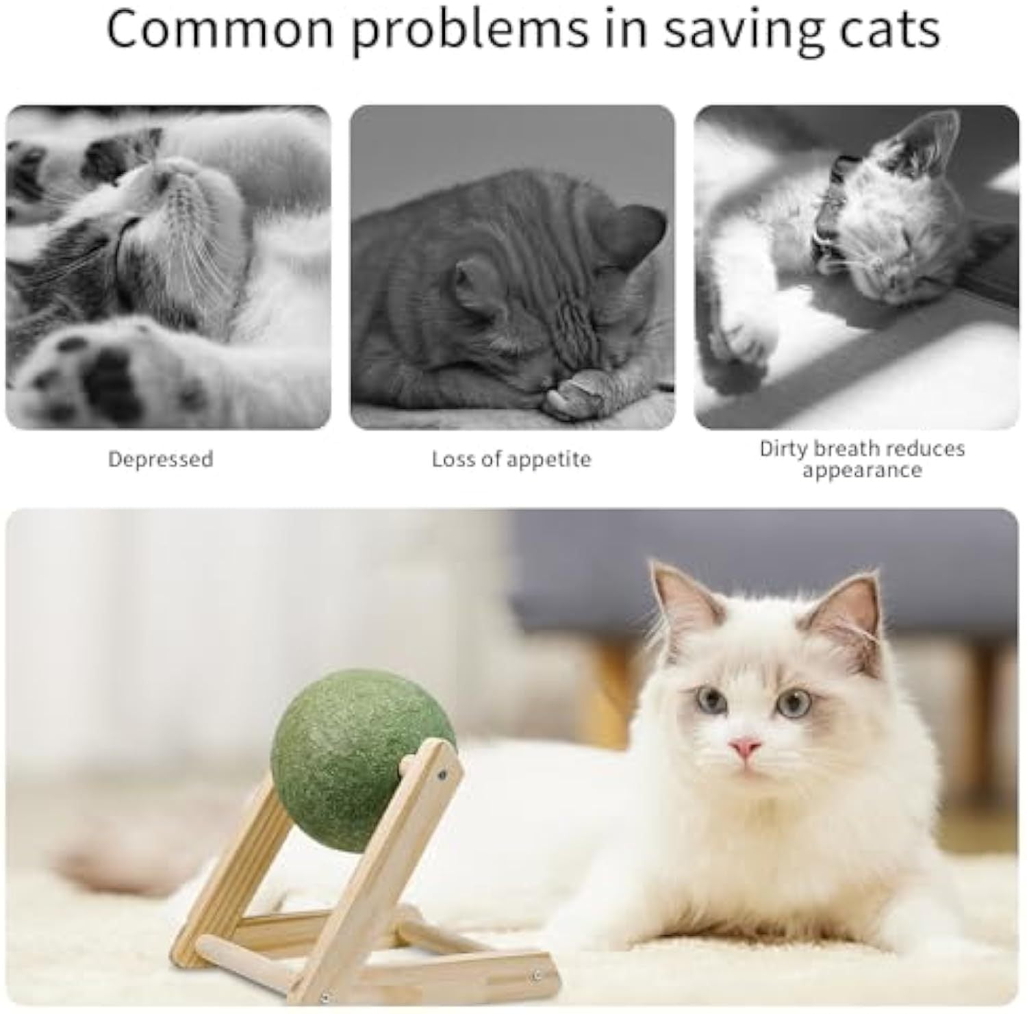 Why Your Cat Deserves the Ultimate Fun with Catnip Balls!